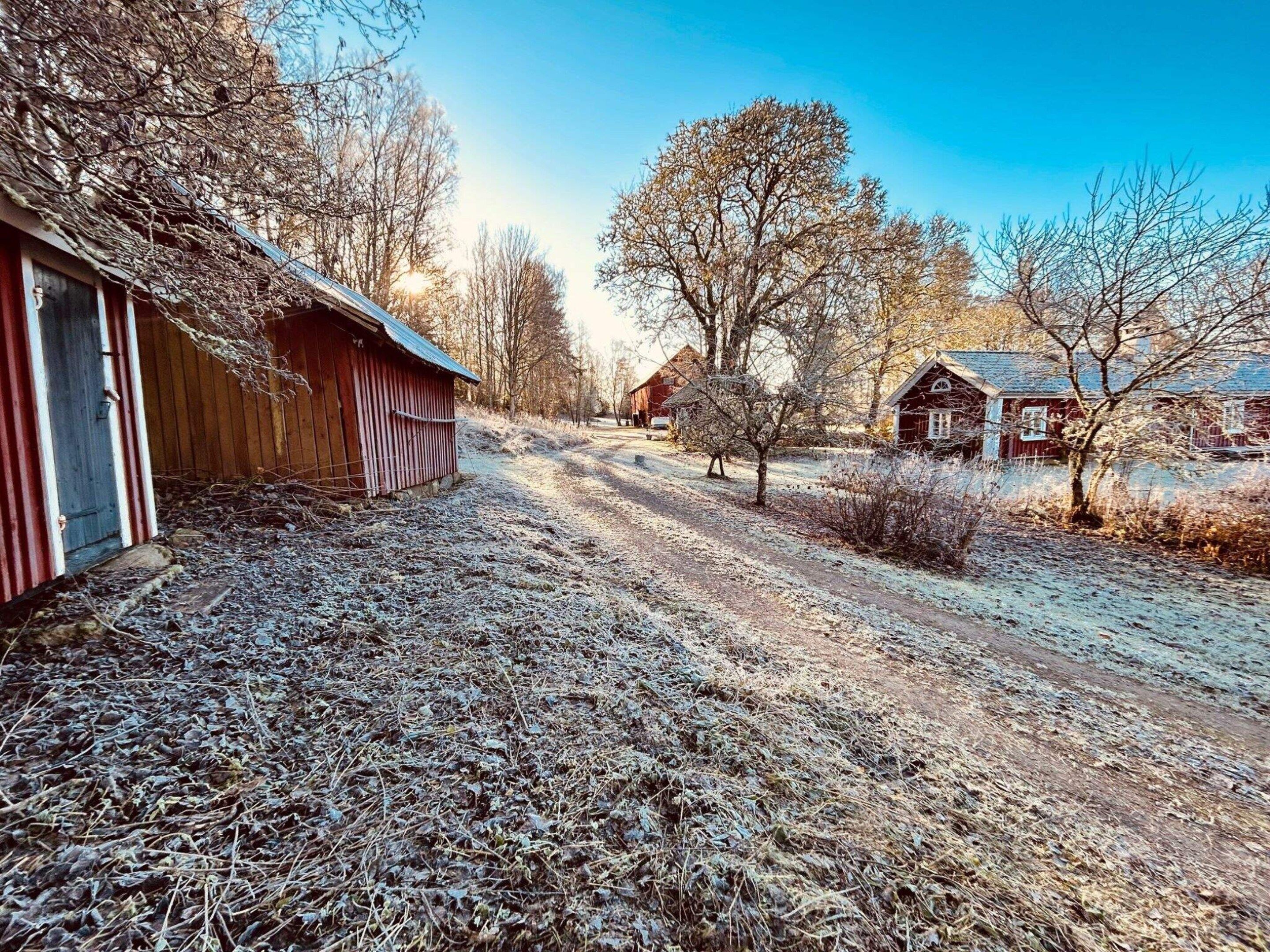 A rural road with wooden buildings, a clear sky, and a frost-covered ground.