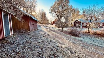 House | Property grounds