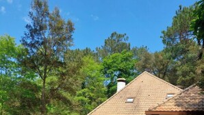 A house with a tiled roof, a garage, and a landscaped yard with trees and shrubs.