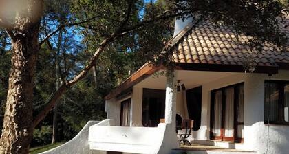 Villa Cimes des Pins, architect-designed house, unique stay on the Atlantic coast