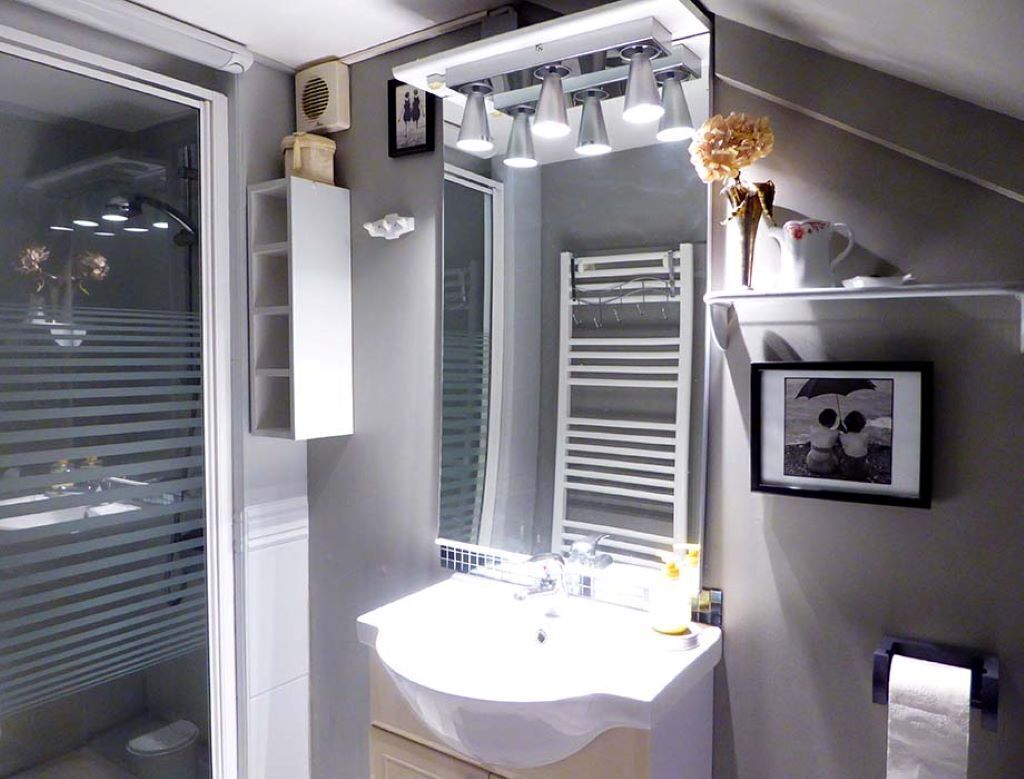 Shower, hair dryer, soap, toilet paper