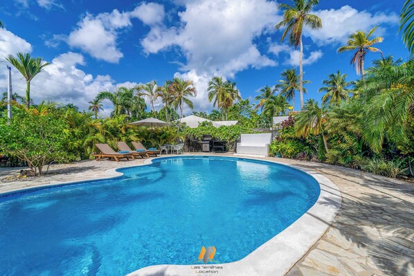 Pool - Pure Caribbean style villa/Pool/600Mplage-restos (Las Terrenas)