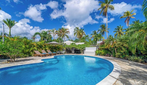 Pool - Pure Caribbean style villa/Pool/Pool/600mbeach-resort (Las Terrenas)