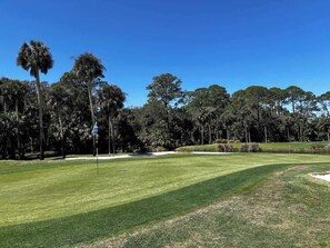 Golf - The Canopy House - A Fripp Island Getaway (Fripp Island)
