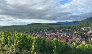 Exterior - Le Sarment d'Or (Riquewihr)