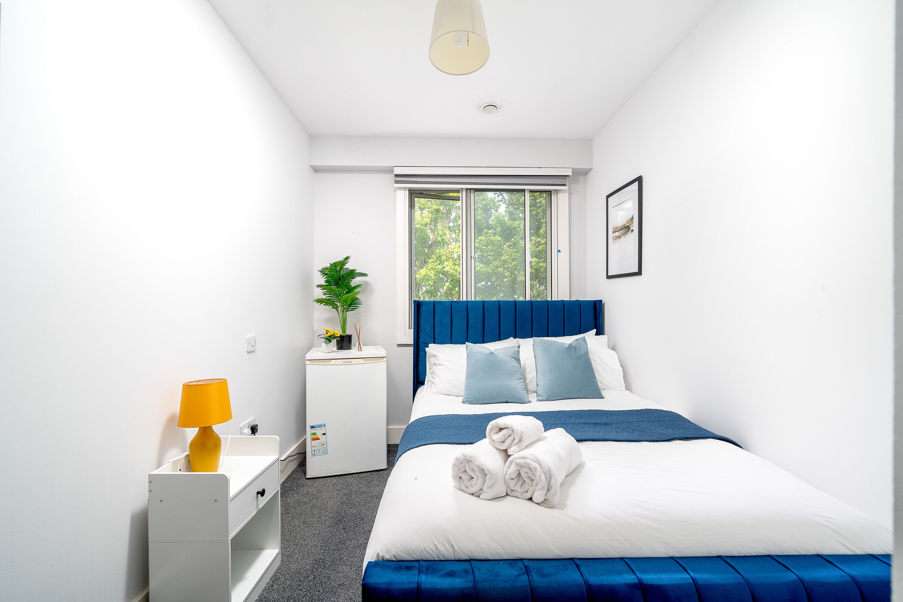 2 habitaciones, escritorio, tabla de planchar con plancha y wifi gratis 