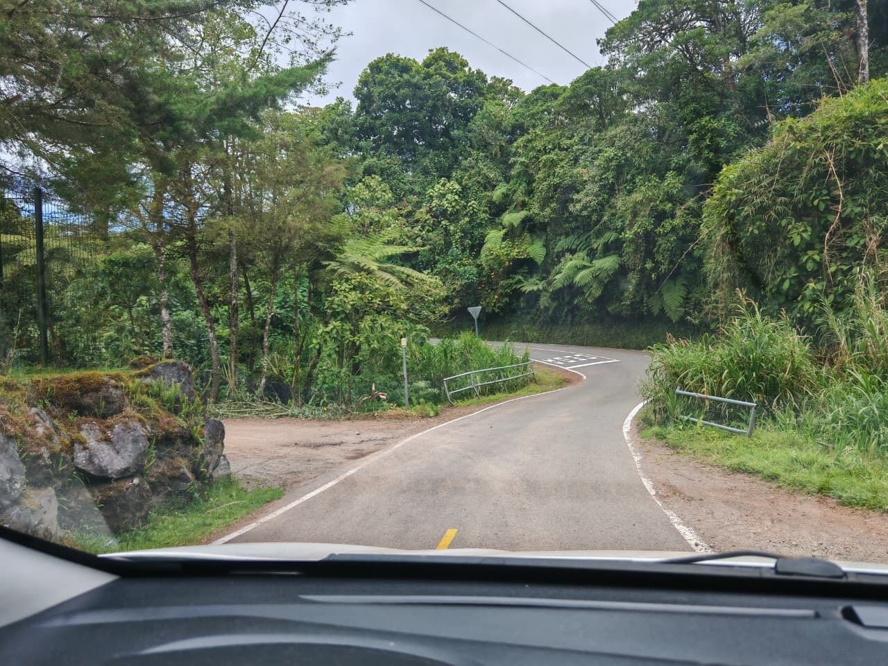 A winding road through a forested area with a guardrail on the right side.