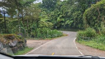 A winding road through a forested area with a guardrail on the right side.