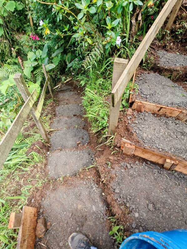 A garden path with wooden steps and a blue container. - DondeLALO Hospedaje (Vara Blanca)