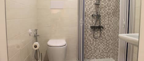 Shower, hair dryer, bidet, towels