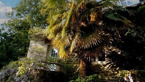 Un edificio de piedra con una ventana, rodeado de abundante vegetación y una palmera.