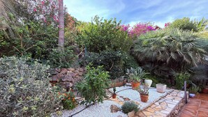 Ein Garten mit verschiedenen Pflanzen und einem Kiesweg.