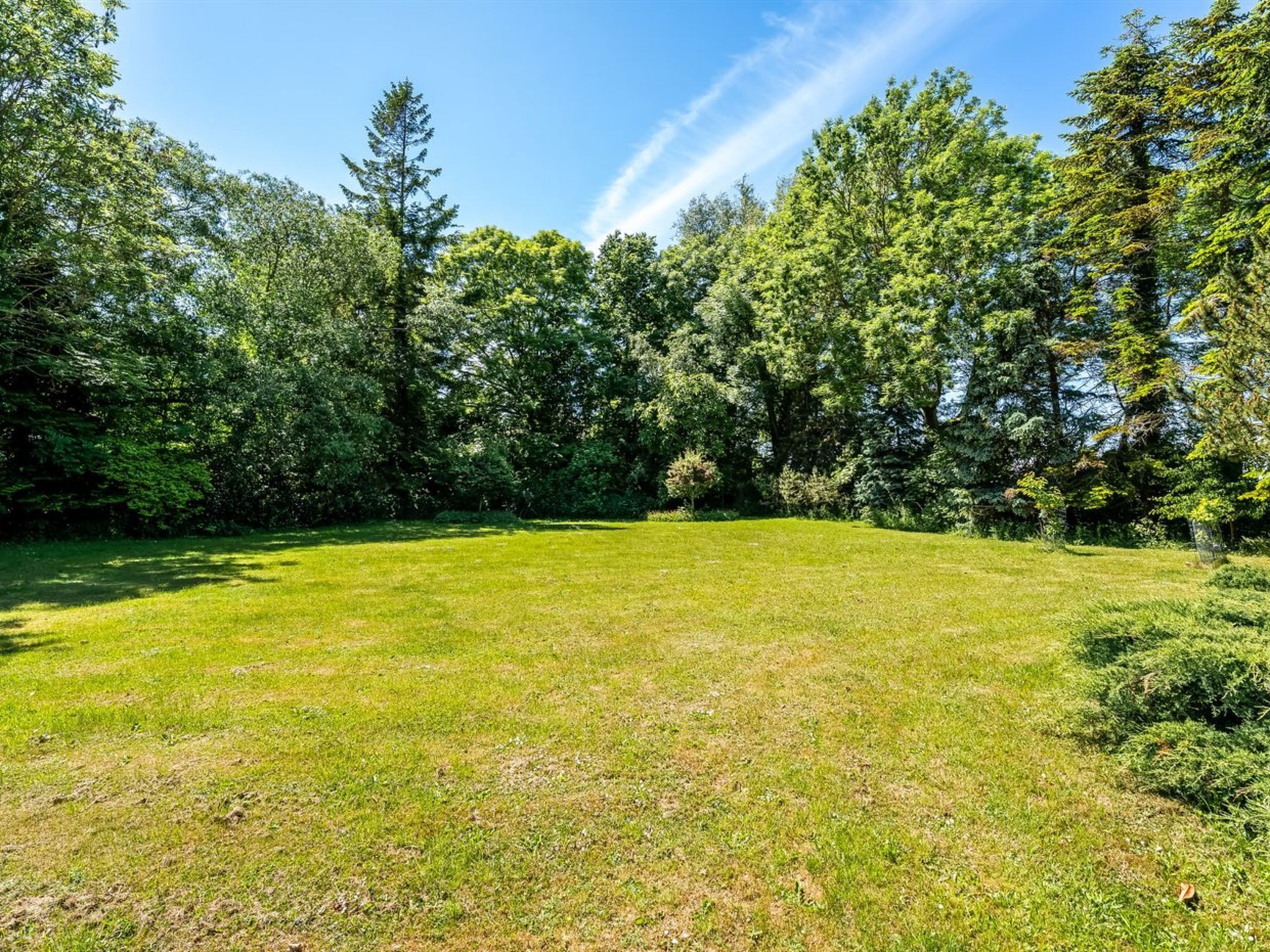 A grassy outdoor area with trees, likely a park or garden.