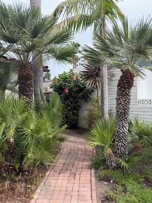 Property grounds - Beach Living in Southwest San Clemente (San Clemente)
