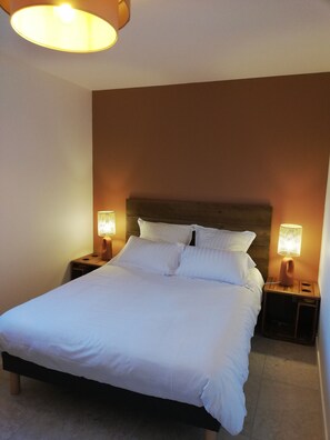 Room - ECO-FRIENDLY HOUSE "LA CROIX PERETTE" 5KM FROM THE CASTLE OF AZAY LE RIDEAU (Cheillé)