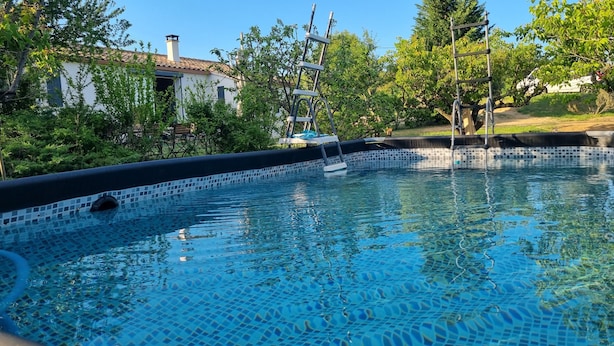 Ein Schwimmbecken mit einer gefliesten Kante, umgeben von Grünpflanzen und einem Haus im Hintergrund.