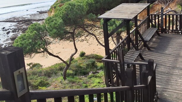 Un pontile in legno con ringhiere che si affaccia su una spiaggia con alberi e terreno roccioso.