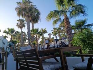 A wooden bench with cushions, surrounded by tall palm trees and a clear blue sky.