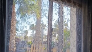 Una ventana con cortinas estampadas, vista a una cerca y palmeras.