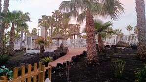Un jardín tropical con palmeras, una cerca de madera y un camino pavimentado.