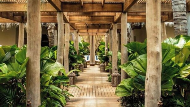Un pasillo de madera con columnas, rodeado de exuberante vegetación.