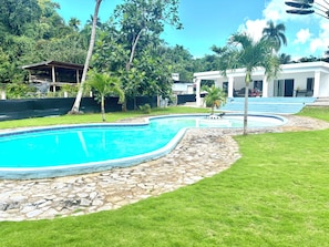 A swimming pool with a stone border, surrounded by grass and palm trees.