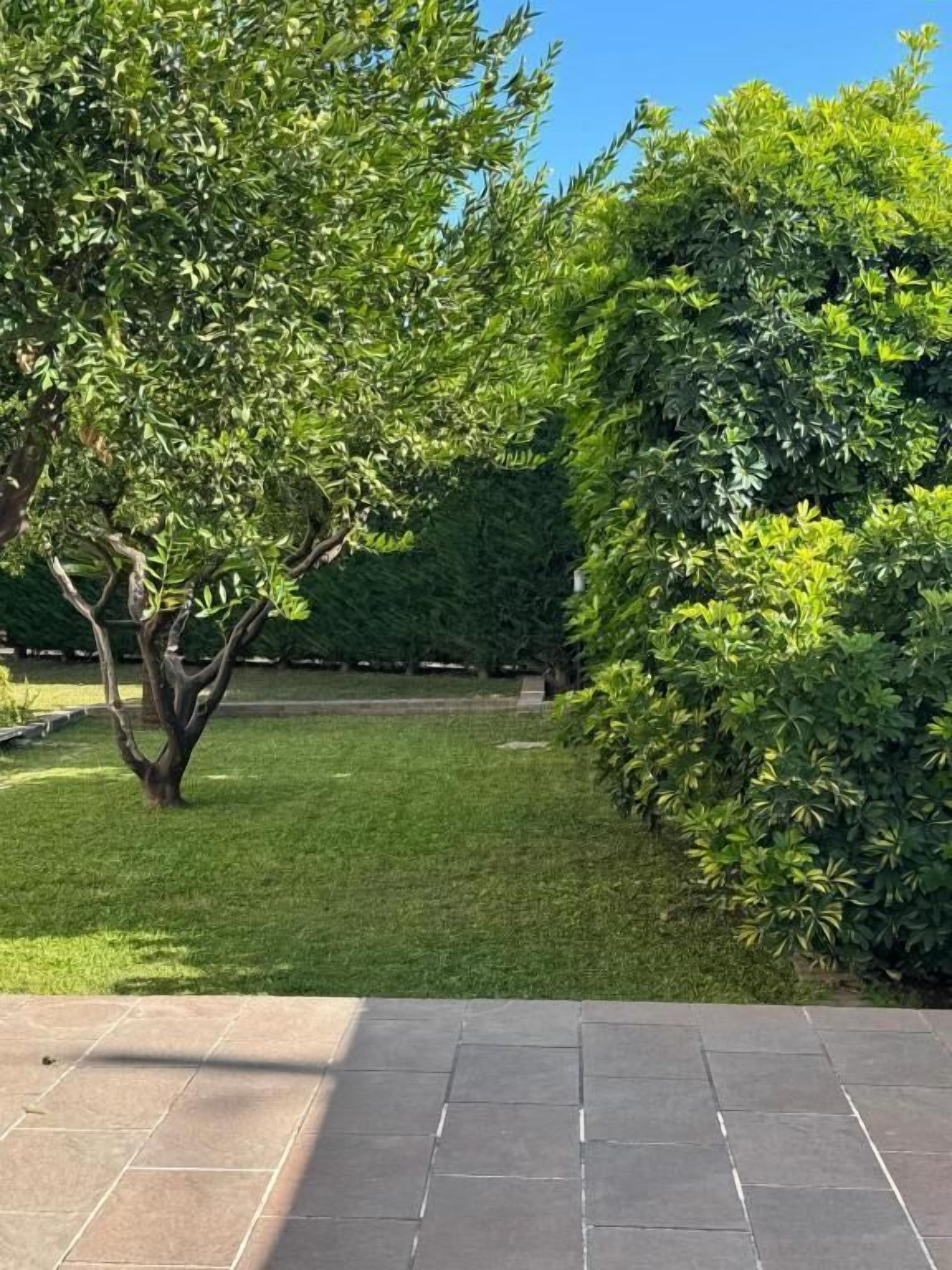 Parco della struttura