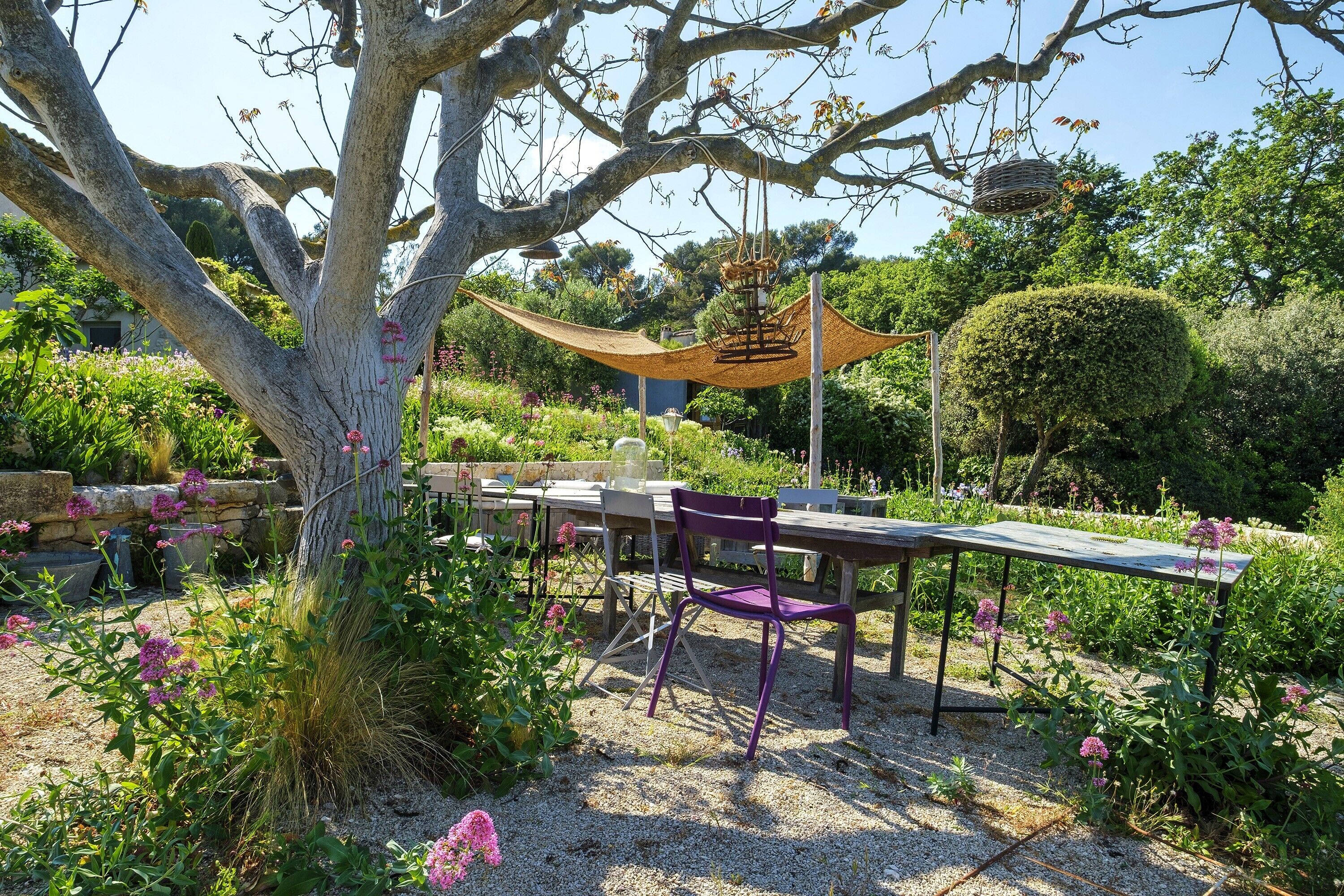 Un espace extérieur aménagé avec des tables et des chaises, entouré de verdure et d’un arbre.