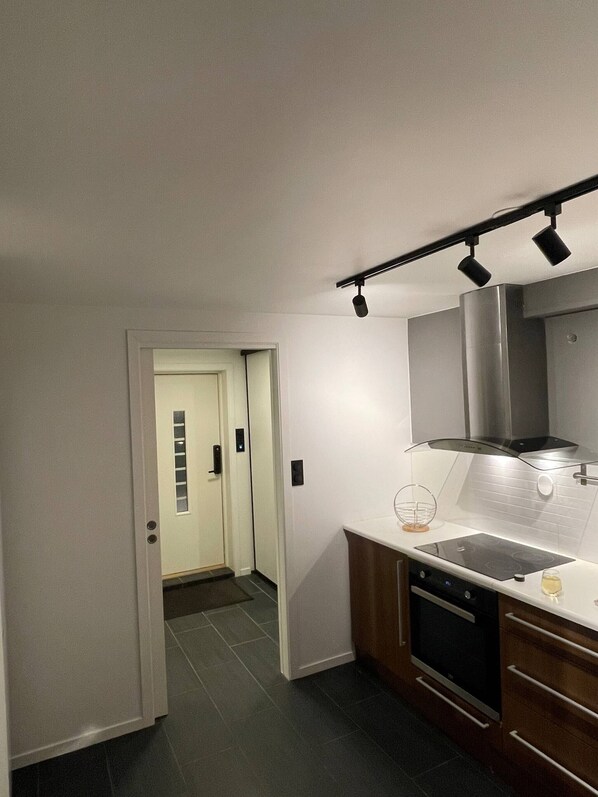 Apartment, 1 Bedroom, Patio | Private kitchen - Renovated Apartment High Standard to City Center, Park (Tromsø)