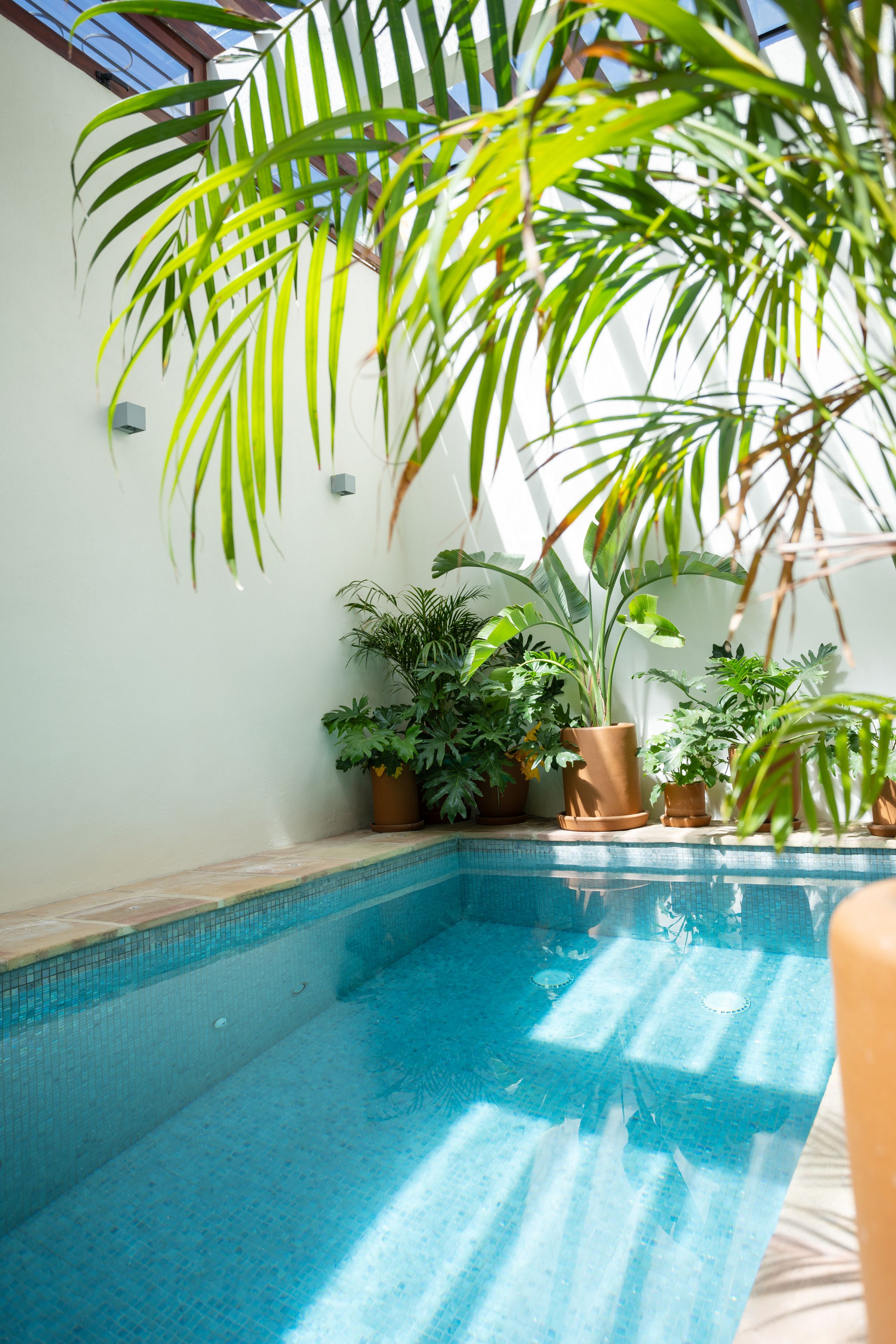 An indoor swimming pool with clear blue water, surrounded by potted plants and a white wall.