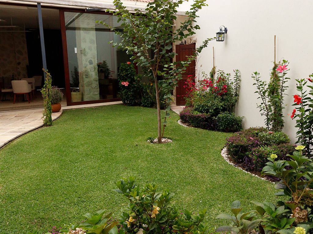Un jardín bien cuidado con césped, diversas plantas y un pequeño árbol.