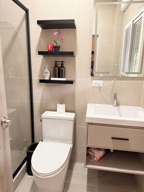 Ducha, secador de pelo, toallas, papel higiénico