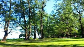 Standard Single Room, Balcony, Garden View | Miscellaneous