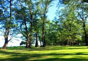 Miscellaneous - HulaFling Homestay  (Sa Khu)