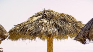 A beach setting with a thatched umbrella, white plastic chairs, and a table. - Pelicanos  (Alvarado)