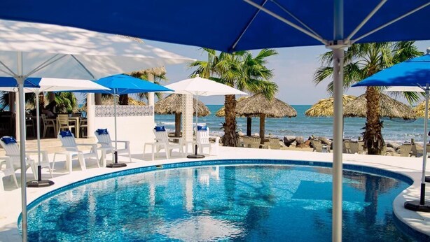A swimming pool with lounge chairs and umbrellas, palm trees, and a view of the ocean. - Pelicanos  (Alvarado)