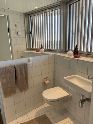 Amenidades de baño ecológicas, secadora de cabello, toallas, jabón 