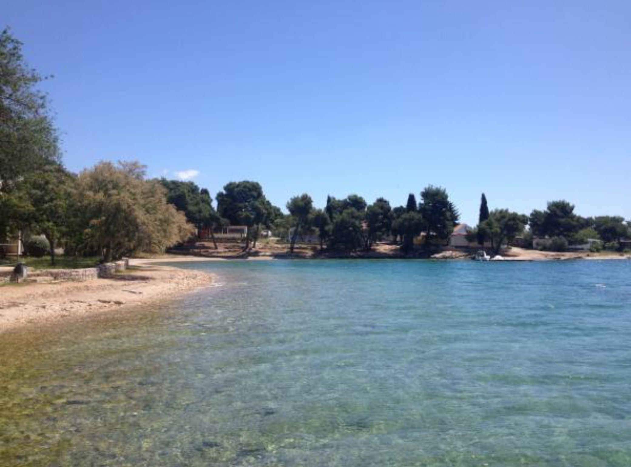 A coastal scene with clear water, trees, and buildings.