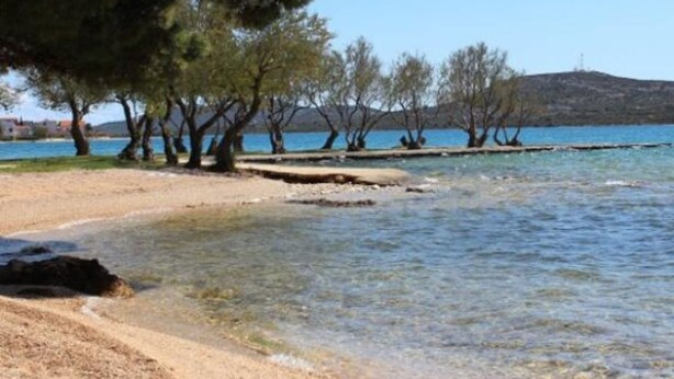 Ein Strand mit klarem Wasser, Bäumen und einer entfernten Hügelkette.