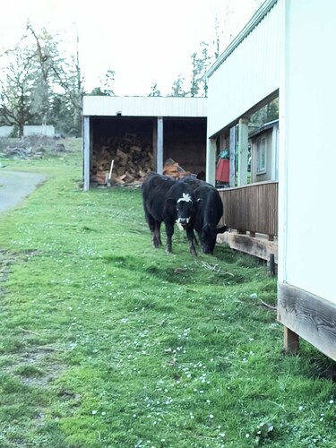 Charming 2-bedroom farmhouse in Willamina's relaxing countryside.