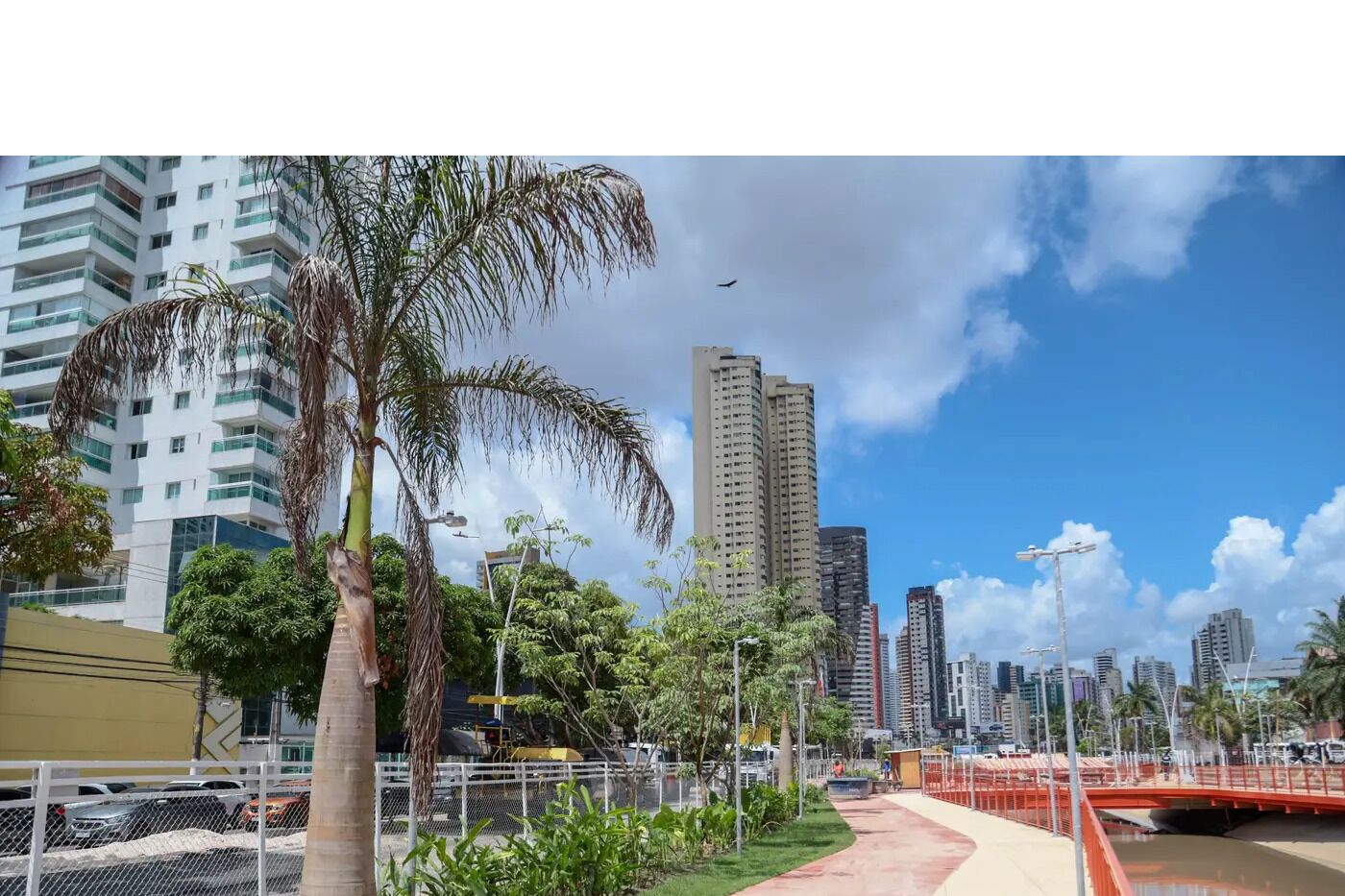 A cityscape with tall buildings, a palm tree, and a red bridge.