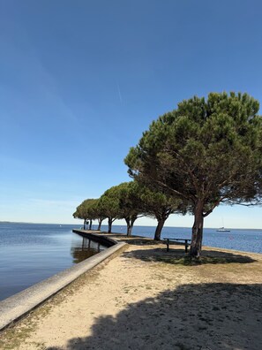 Miscellaneous - APPARENTLY ON THE SHORES OF LAC DE CARCANS MAUBUISSON (Carcans)