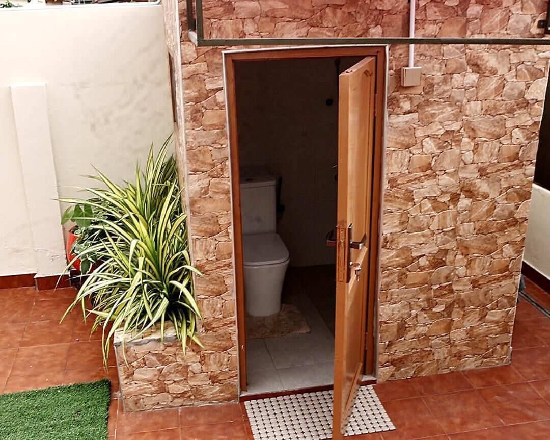 A bathroom with a stone wall, a wooden door, a toilet, and a potted plant.