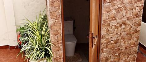 A bathroom with a stone wall, a wooden door, a toilet, and a potted plant.