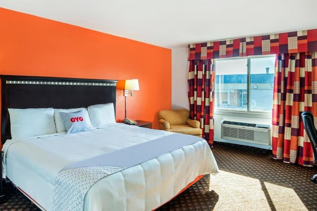 Unwind in a sunlit room with plush bed comfort.