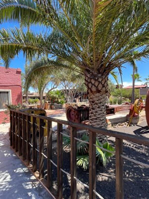 Parco della struttura