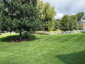 Terrein van de accommodatie