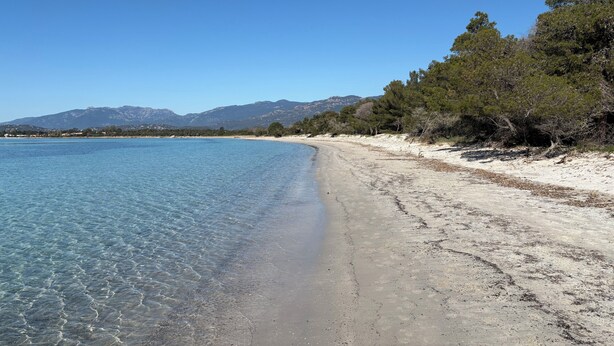 A beach with clear water, sandy shore, and trees. - Charming house in a green setting, between scrubland and sea (Zonza)