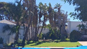 A backyard with a swimming pool, palm trees, and a white building. - Adventure Cape Town 1 (Cape Town)