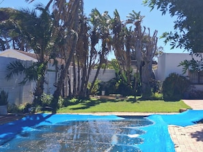 Um quintal com piscina, palmeiras e um prédio branco.